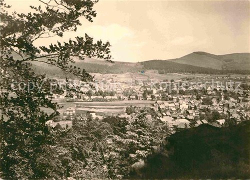 Zella mehlis panorama blick - zella-mehlis,