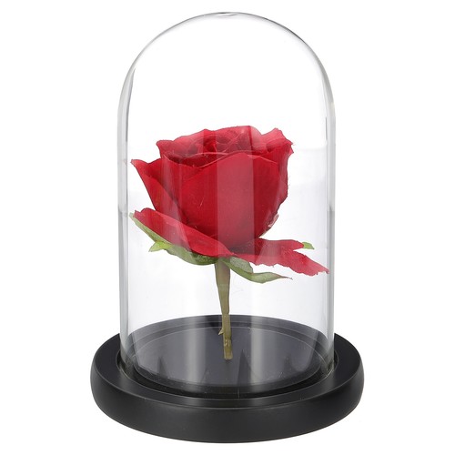 Glas glocke ausstellungsdom - glas, 15