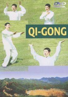 Gong dvd zustand - dvd, sehr