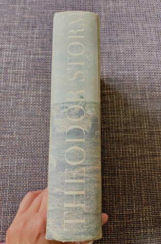 Theodor storm grauen - storm,