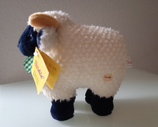 Sunkid Schwarzkopfschaf Schaf