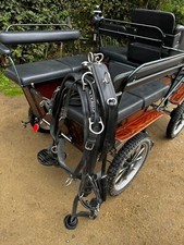 Pferdekutsche / Wagonette 