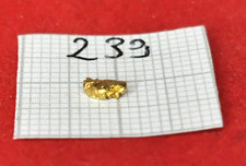 #239 Goldnugget Alaska Yukon