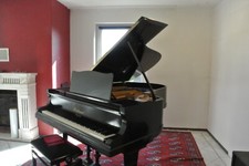 Blüthner Flügel Modell 6