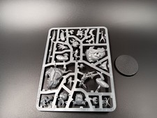 Loonboss on Giant Cave Squig Warhammer Age of Sigmar