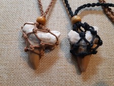 🦈 Fossiler Hai Zahn