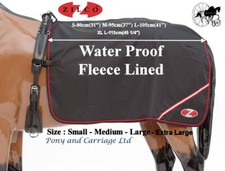 Zilco Kutsche fahren