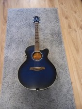 Richwood Westerngittare mit Gittarentasche 