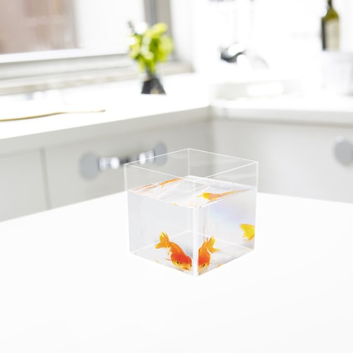 Aquarium quadratisch - aquarium,
