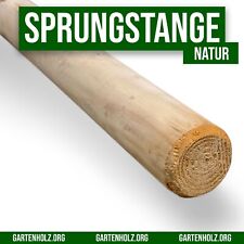 Cavalettistange Sprungstange