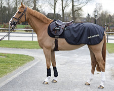 Abverkauf Back on Track Nierendecke/ Ausreitdecke Loin Therapiedecke Gr. 155