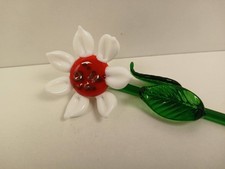 Stück bunte sonnenblume in - 1,