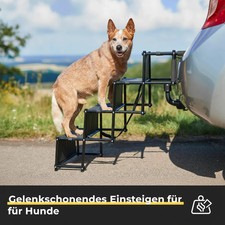 PAW Faltbare Hunderampe –