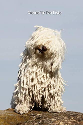 Meine liste puli - liste:,