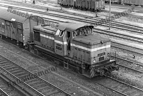 Fotoabzug 10x15 v60 1284 - pe-fotoabzug,