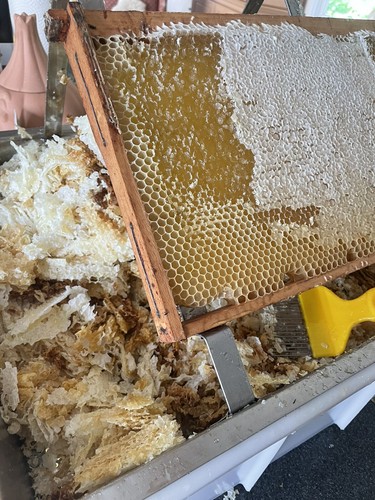 Reiner bienenwachs - reiner,