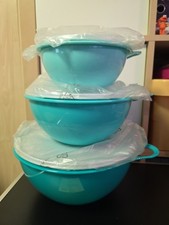 Tupperware Maximilian Set