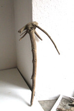 Schwemmholz Treibholz Skulptur