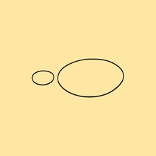 Riemen Set für Grundig Studio