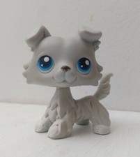 Seltener kleiner Haustierladen