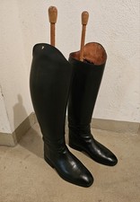 Lederreitstiefel Petrie  Gr. 8