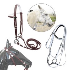 Pferdetrense mit Zügel