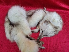 schöne , alte Fuchs-Stola  