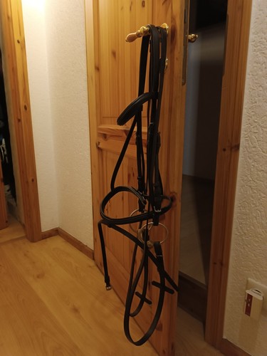 Pferde ledertrense neu - pferde,