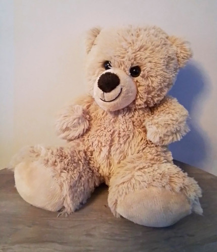 Teddybär plüschbär - teddybär,