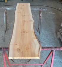 Thuja Holz Zypresse Bohlen