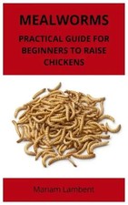 Mealworms: Practical guide for beginners to raise chickens | Mariam Lambent