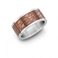 CEM Edelstahl Ring Gr. 64