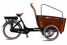 Alu E-Bike Vogue Carry 3