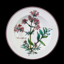 Suppenteller ohne Wurzel mit