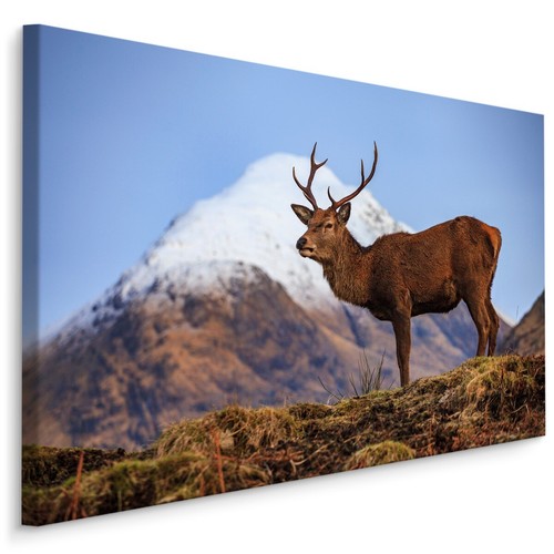 Canvas leinwand bilder xxl - canvas,