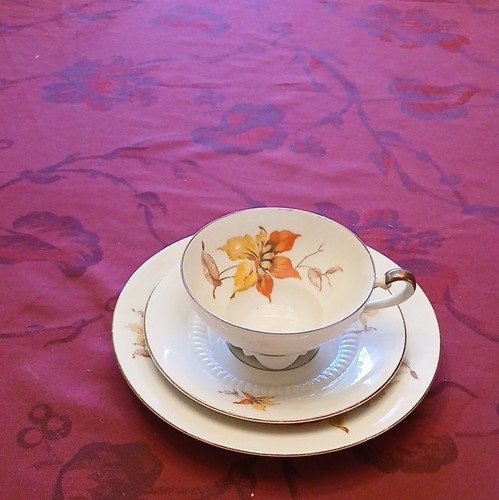 Porzellan tasse untertasse - porzellan,