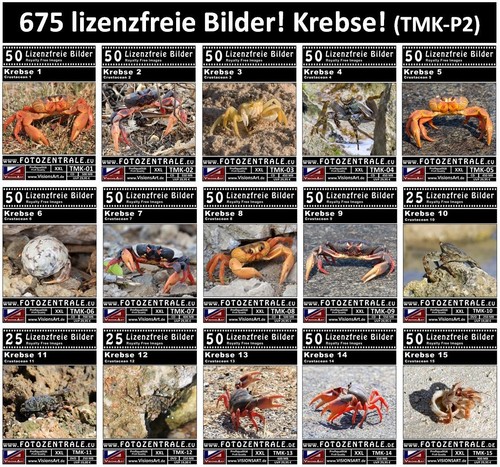 675 lizenzfreie profi bilder - 675,