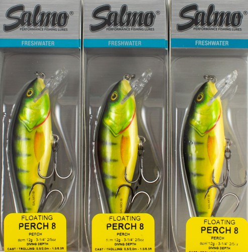 Salmo perch 8 - salmo,
