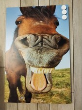 Pinnwand Magnettafel  Memoboard Pferd magnetisch