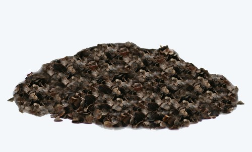 Buchweizen nachfüllpack 500g - buchweizen,