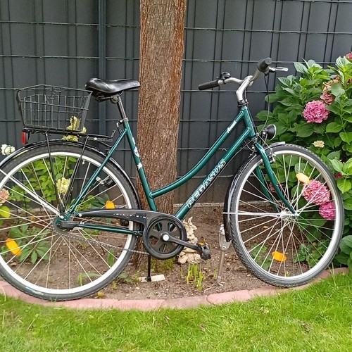 Prophete city bike - bike, grün