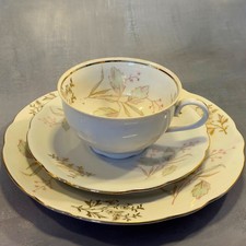 Bareuther Bavaria Sammeltasse