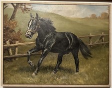 Ölbild auf Leinwand Rappe