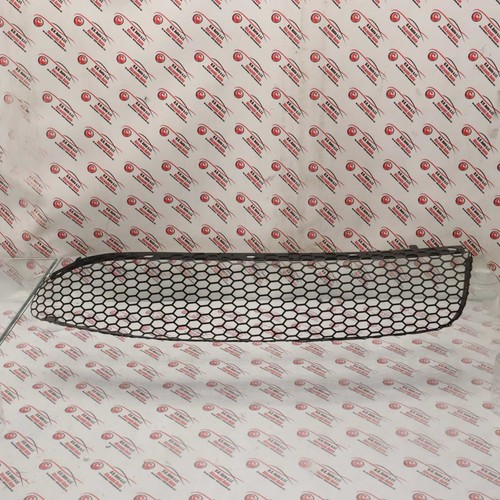 Grill links vorne stoßstange - grill,