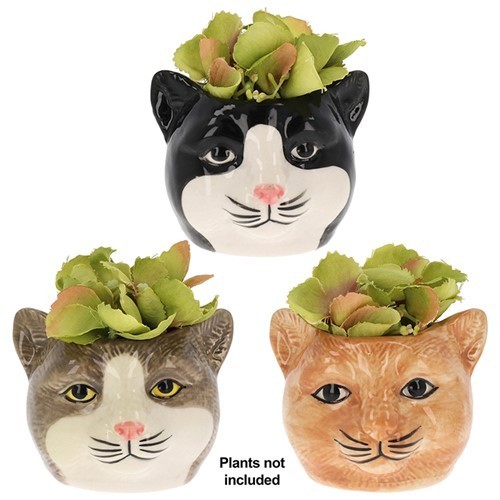 Sorten moggy töpfe - 6,