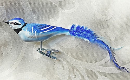 Blauhäher glasvogel - ❀,