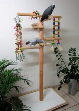 Freisitz für Papageien a. Buchenholz,Papageienspielzeug,mittlere/große Papageien