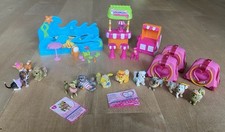 Chi Chi Love Beach Hunde