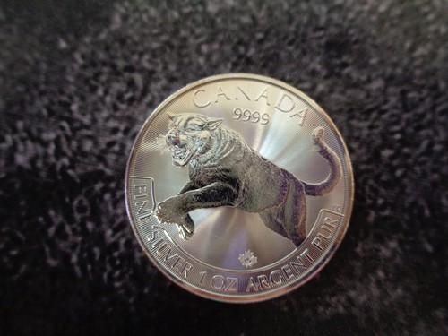 Elisabeth dollars 2013 - ii,