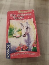 Der steinerne Spiegel